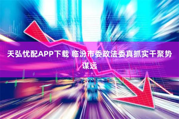 天弘忧配APP下载 临汾市委政法委真抓实干聚势谋远
